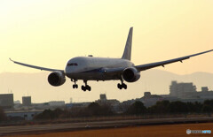 3月の翼★ANA Boeing787-8