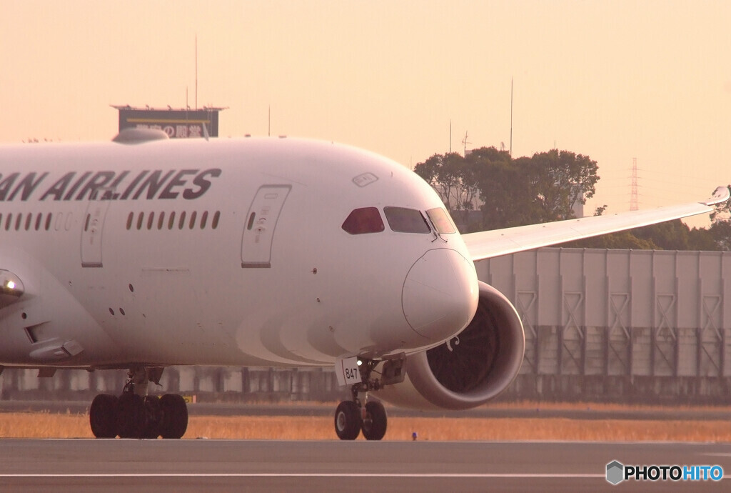 HARADAの朝Ⅱ✈JA847J