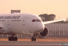 HARADAの朝Ⅱ✈JA847J