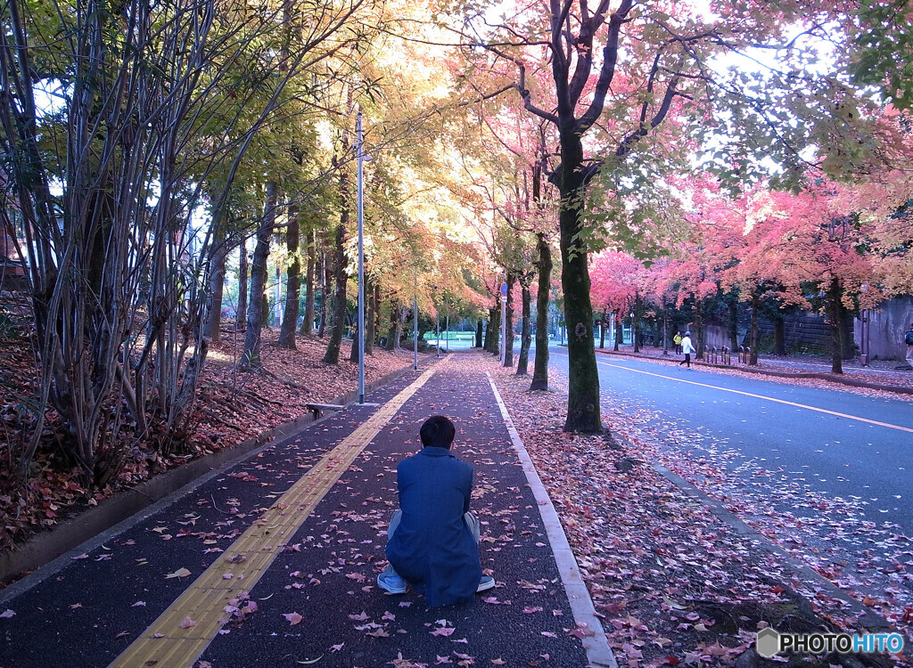 俺の紅葉✿三色彩道