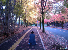 俺の紅葉✿三色彩道