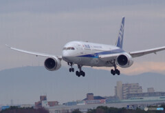 Lovely Sunday✈787