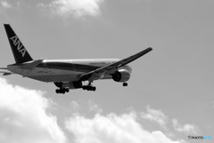 男たちの旅路・夏