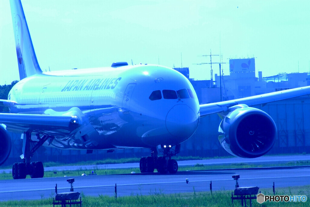 蒼が飛ぶ✈JAL Dreamliner