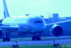 蒼が飛ぶ✈JAL Dreamliner