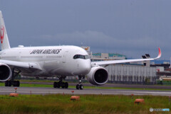 Delusional TripⅢ✈9月の翼