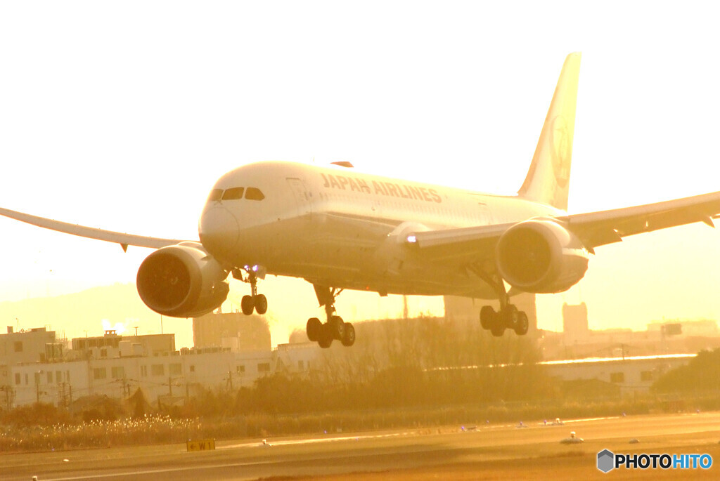 MORNINGSTAR✈Boeing 787-8