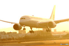 MORNINGSTAR✈Boeing 787-8