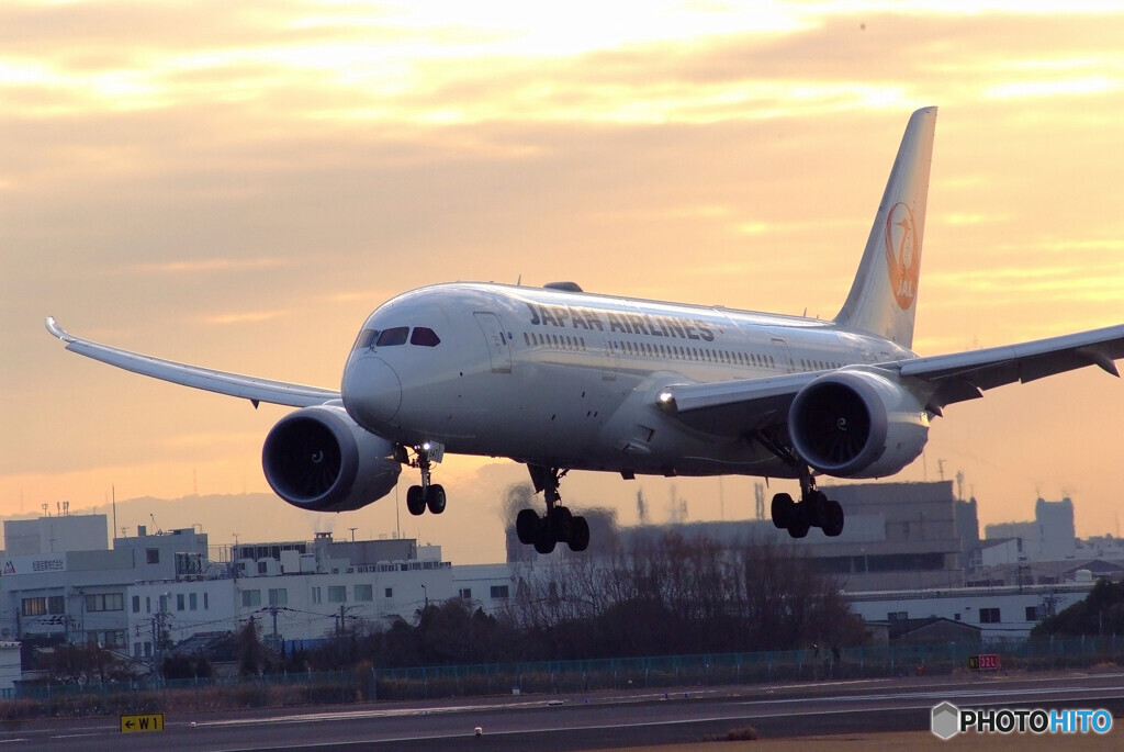 魅せられて✈787Dreamliner