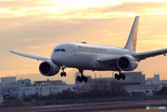 魅せられて✈787Dreamliner