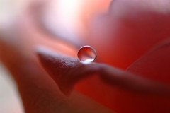 睦月の雫（Ⅱ）