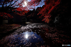 水面の彩・水車小屋にて