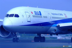 蒼き旅人・787-9