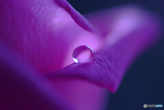 My Life➒✿雫の彩