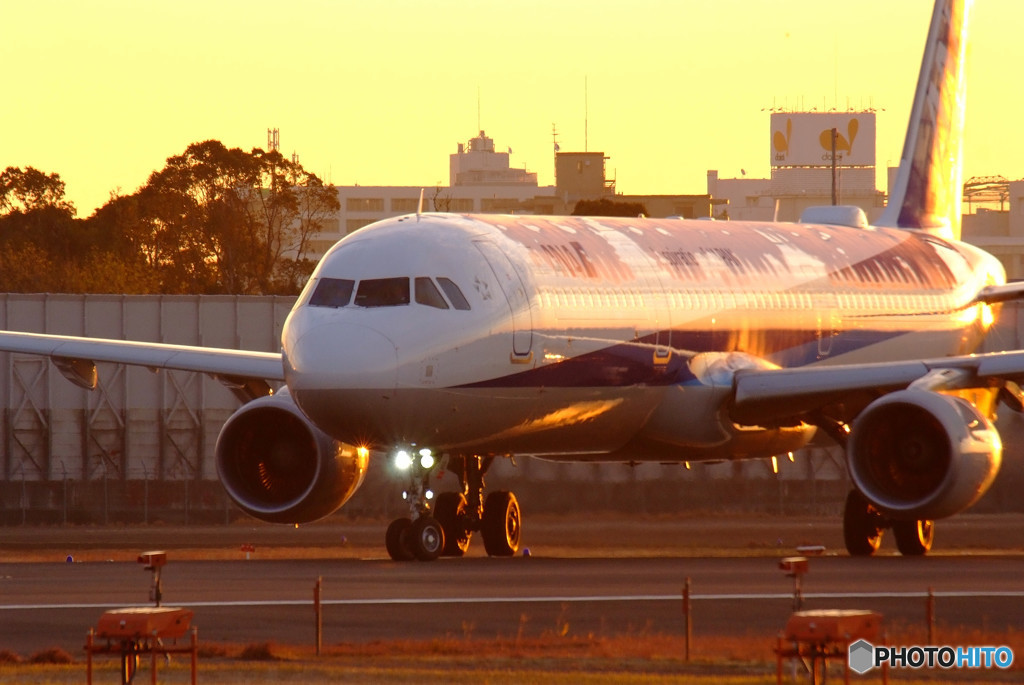 ITAMI Illusion・A321