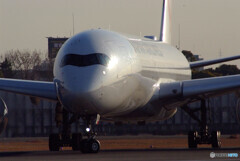 January travelerⅦ☆A350-900