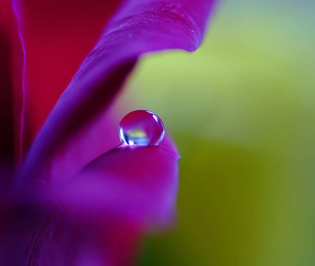 愛しい惑星（Ⅳ）・雫