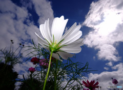 My Treasure・秋の扉