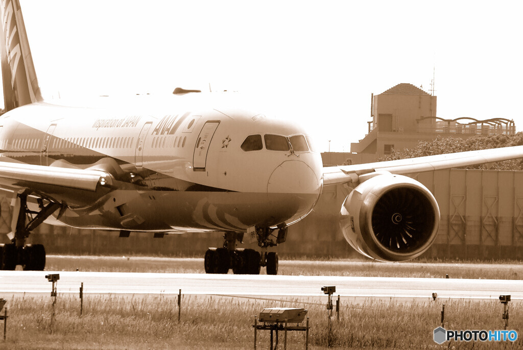 俺の空へ✈787-8 Dreamliner 