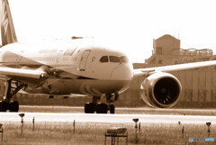 俺の空へ✈787-8 Dreamliner 