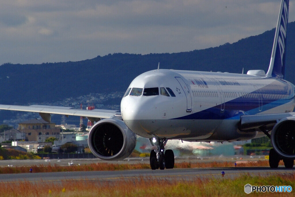 October AfternoonⅢ✈NEOが飛ぶ