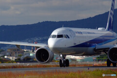 October AfternoonⅢ✈NEOが飛ぶ