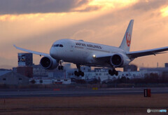 魅せられて・787