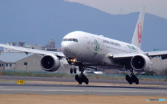 TravelerⅡ・SKY ECO