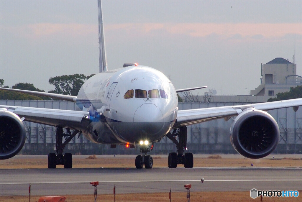ITMの朝✈Boeing787-8