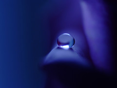 涼を求めて・2014