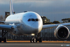 俺の旅へ2022✈787-8Dreamliner 