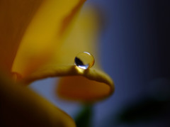 如月の惑星・雫（Ⅳ）