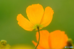 終章「エビローグ」・華