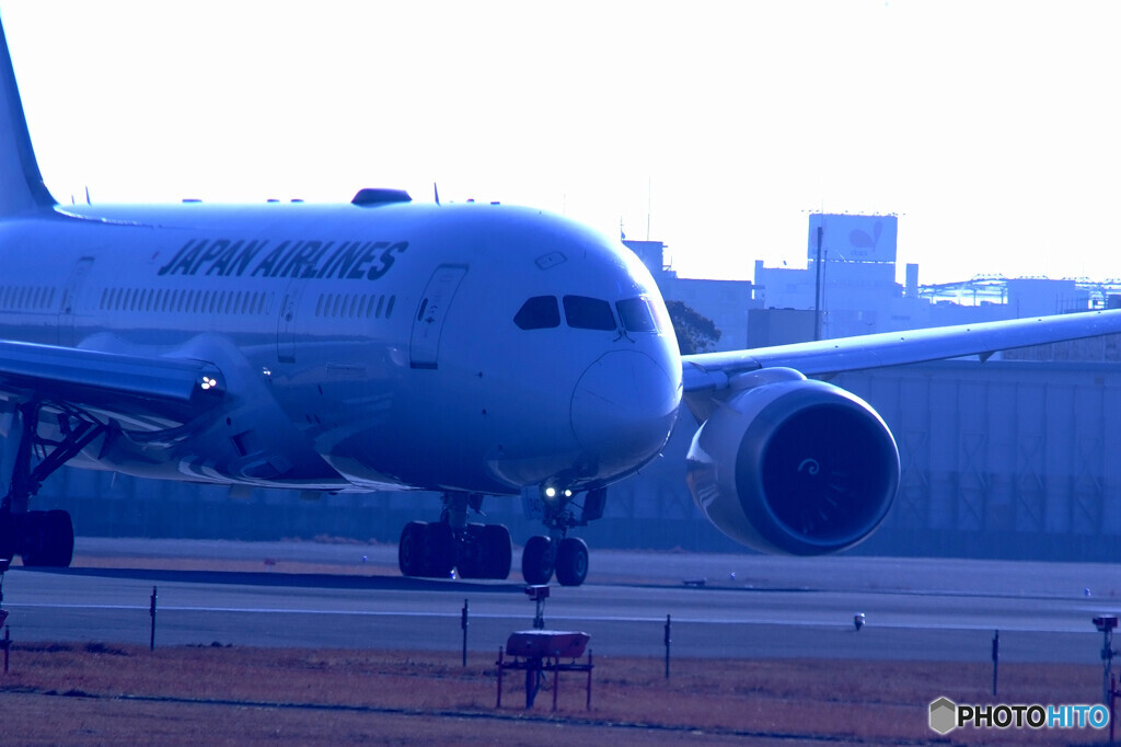 蒼の世界✈787