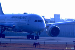 蒼の世界✈787