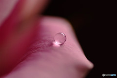 やすらぎの時・雫