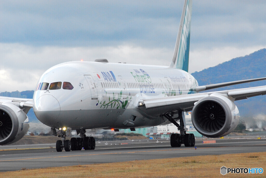 ANA Green Jet✈JA874A