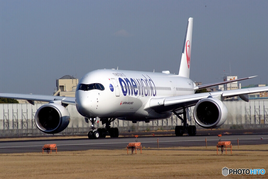 March Afternoon✈JA15XJ