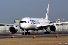 March Afternoon✈JA15XJ
