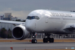 妄想の旅へⅧ✈JA03XJ 妄想の旅へⅧ✈JA03XJ