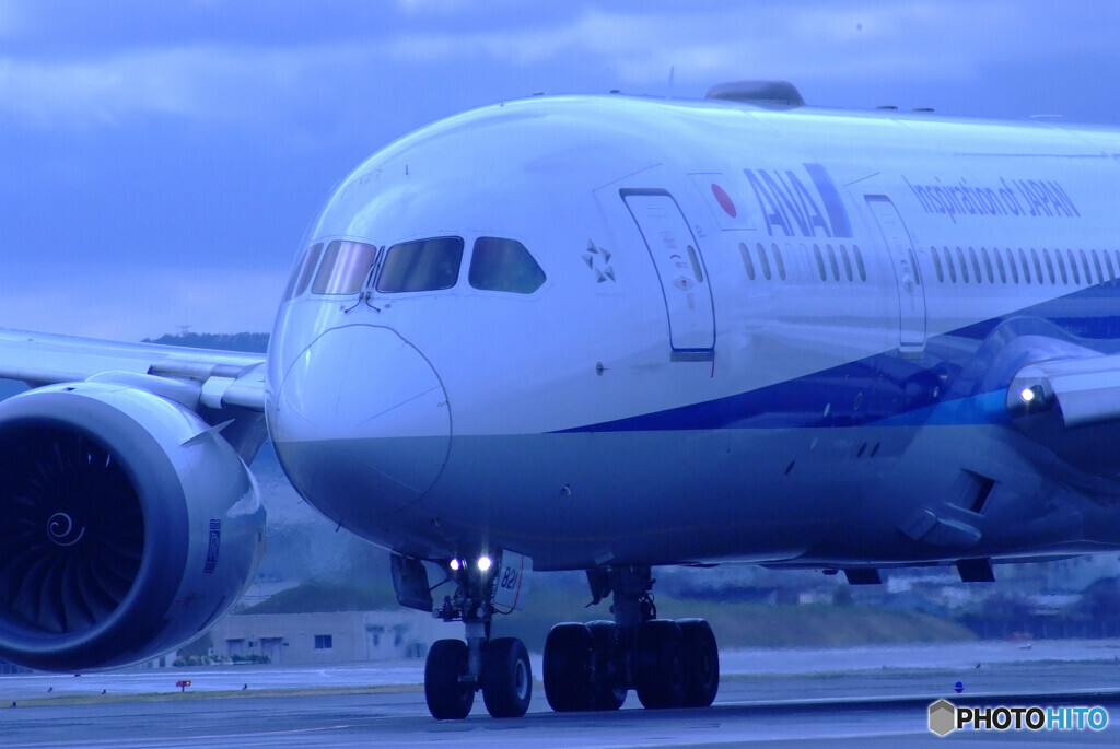 蒼が行く✈JA821A