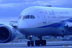 蒼が行く✈JA821A