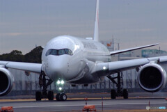 NextStageⅡ✈JA03XJ