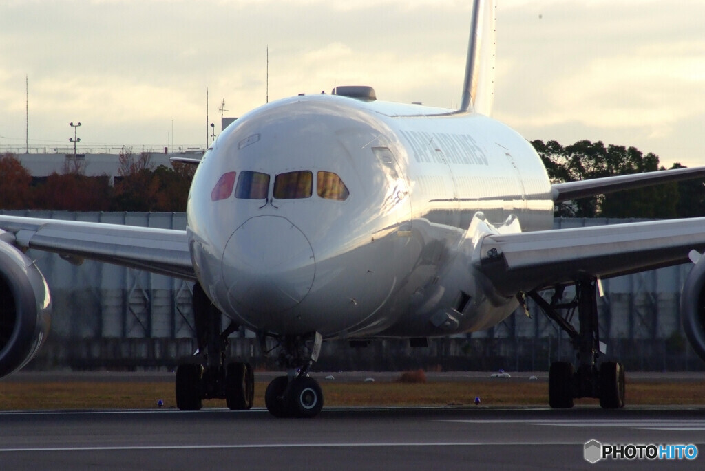Magic Hour✈JAL Boeing 787-8