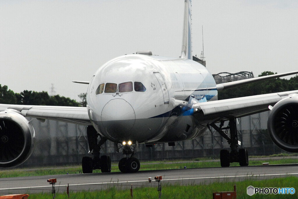 俺の旅路Ⅹ夏✈Boeing787-8