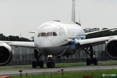 俺の旅路Ⅹ夏✈Boeing787-8