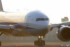 Morning glow・JA702A