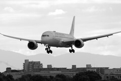 俺のHARADA✈787-8 Dreamliner