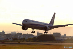 霜月の朝★Boeing 767