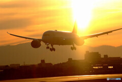 初月の彩✿Boeing787-8
